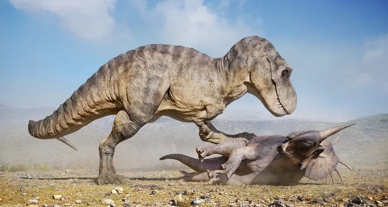 Tìm hiểu về loài khủng long raptor nhanh nhẹn