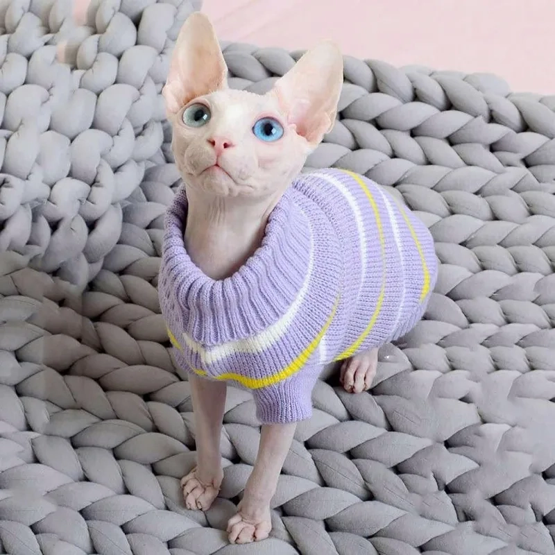 Tìm hiểu mèo Sphynx lông trọc đặc điểm nổi bật