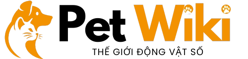 logo website Pet.yeuvanhoc.edu.vn sáng