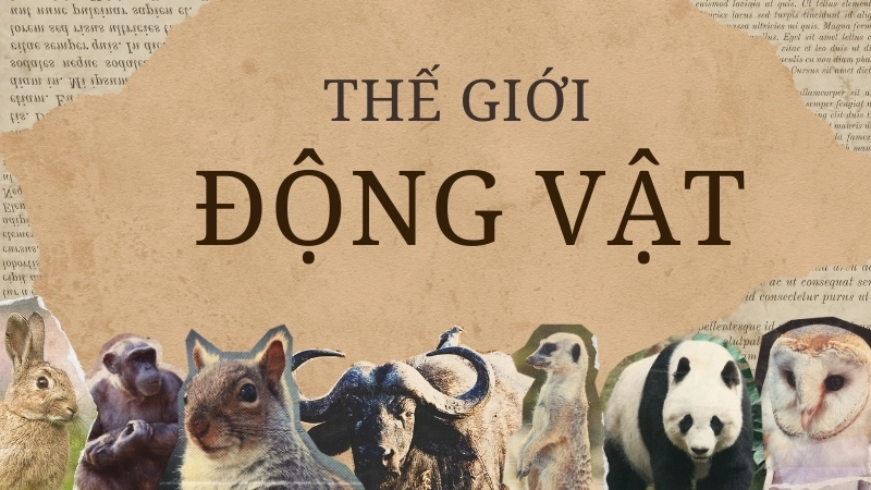 Sự hùng vĩ của động vật hoang dã